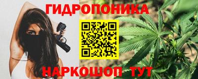прущие крисы Пугачёв