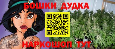 крисы Пыть-Ях