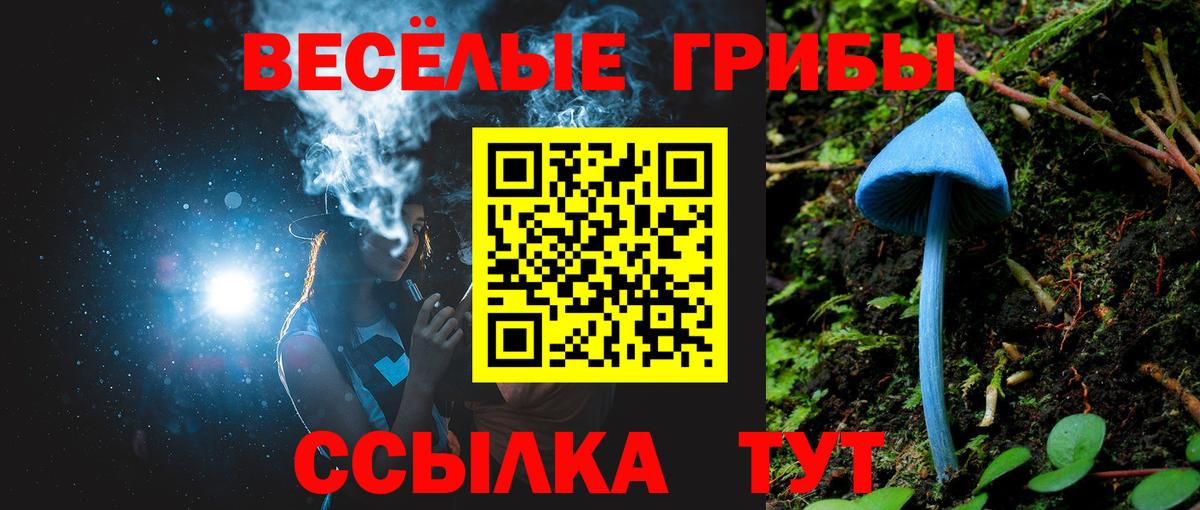 Галлюциногенные грибы Psilocybe Рузаевка