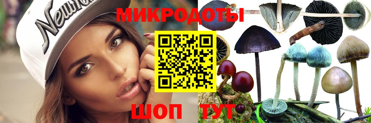 Псилоцибиновые грибы мухоморы  Вход с VPN  Галлюциногенные грибы Psilocybe  Рузаевка 